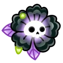 🌺