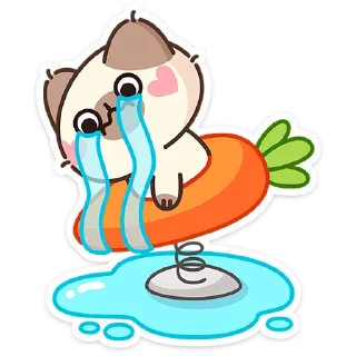 🐱