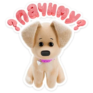 🐶