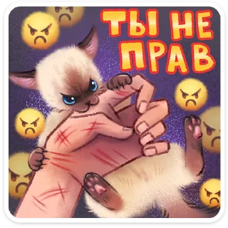 🖼️