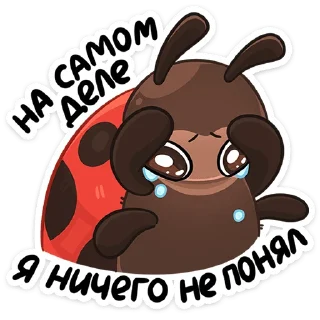 🐞