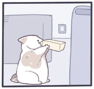 🍶