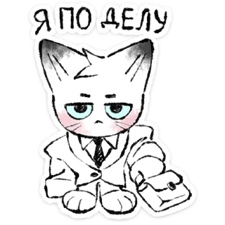 🐱