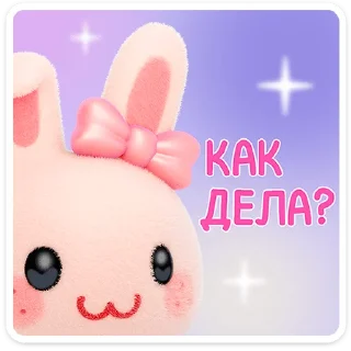🐰
