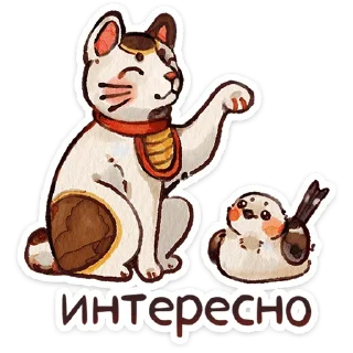 ✨