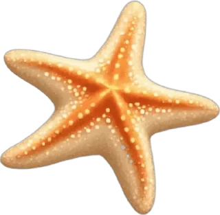 🌟