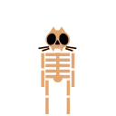 💀