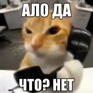 📞