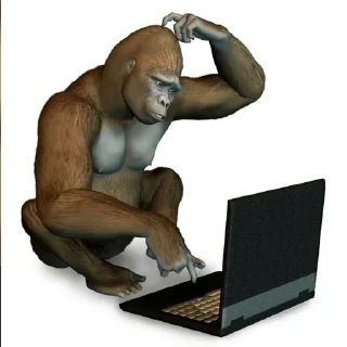 🐵