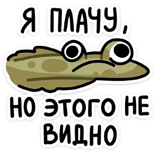 ⭐