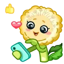 ⭐