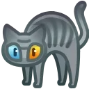 🐈⬛
