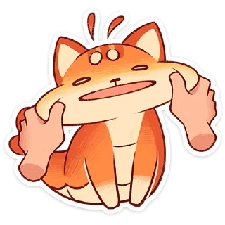 🐱