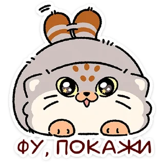 😼