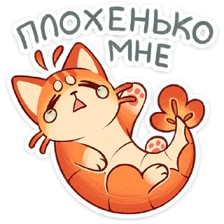 🐱