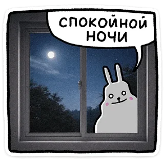 🐰