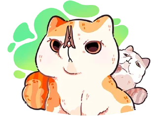 🐱