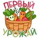 ⭐