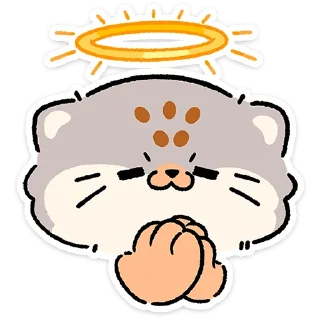 😼