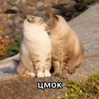 😘
