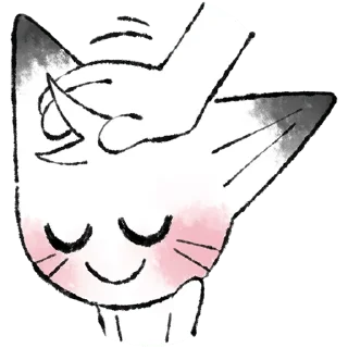 🐱