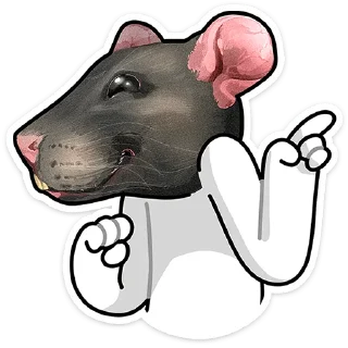 🐀