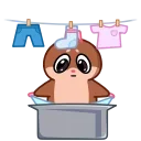 ⭐