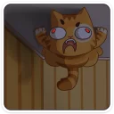 😺