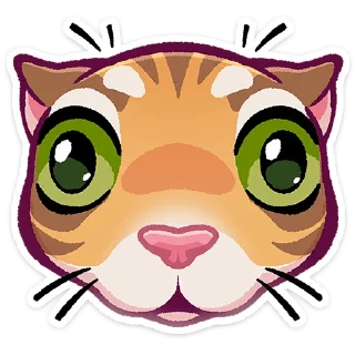 🐱