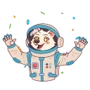 ⭐