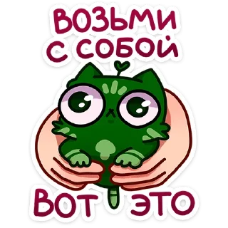 🐱
