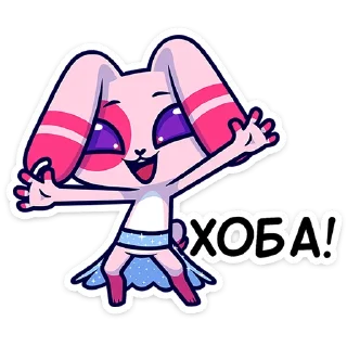 🐰