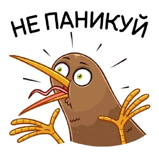 🙅♂️