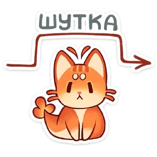 🐱