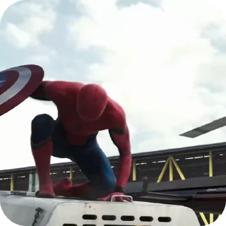 🌟