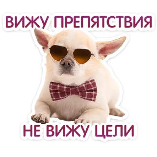 ⭐