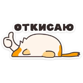 🐱