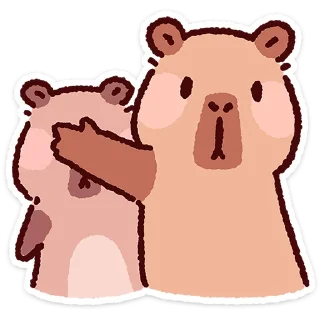 ⭐
