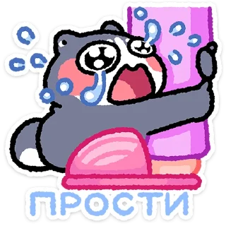 ✨