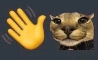 👏