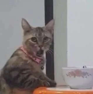 😨