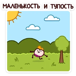 🌟