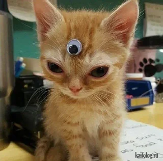 👀