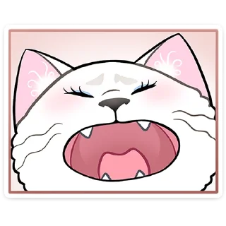 🐱