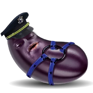 👮♂️
