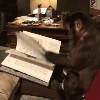 📖