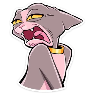 😼