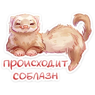 ⭐