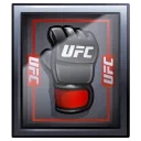🥊