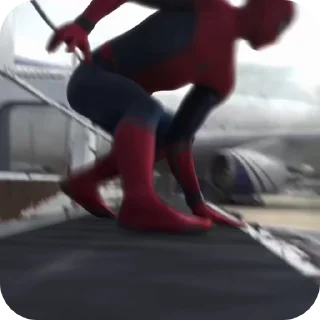 🌟